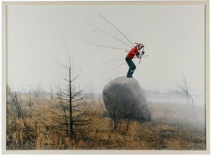 JANNE LEHTINEN - Sacred bird