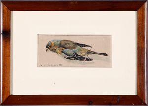 Oscar Saccorotti - Uccellino