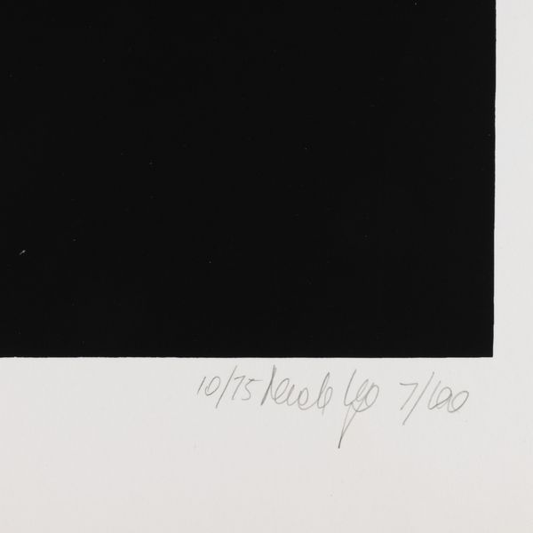 NANDA VIGO : Light project  - Asta Selected Prints - Associazione Nazionale - Case d'Asta italiane