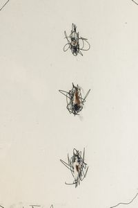 LUCIO FONTANA : Concetto spaziale  - Asta Selected Prints - Associazione Nazionale - Case d'Asta italiane