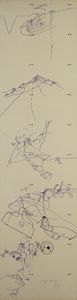 JOSEPH BEUYS - Flight of the Eagle into the Valley and back