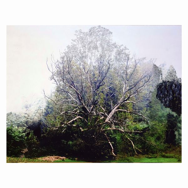 Abbas Gharib  - Asta Opere del XX Secolo Web Only - Associazione Nazionale - Case d'Asta italiane