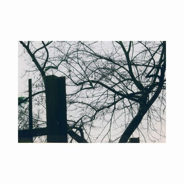 Abbas Gharib  - Asta Opere del XX Secolo Web Only - Associazione Nazionale - Case d'Asta italiane