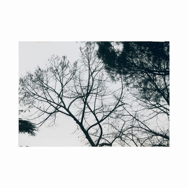 Abbas Gharib  - Asta Opere del XX Secolo Web Only - Associazione Nazionale - Case d'Asta italiane