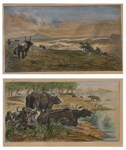Everet van Muyden - Agro romano