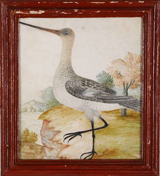 Octavianus Monfort (attivo in Piemonte nel XVII secolo) : Soggetti naturalistici con volatili  - Asta Dipinti Antichi - Associazione Nazionale - Case d'Asta italiane