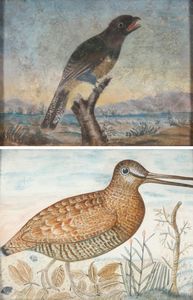 Octavianus Monfort (attivo in Piemonte nel XVII secolo) - Soggetti naturalistici con volatili