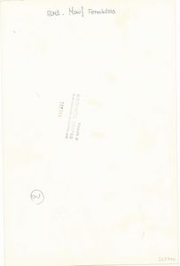 Ombretta Carrea : Roma, Manifestazione femminista  - Asta Fotografia - Associazione Nazionale - Case d'Asta italiane