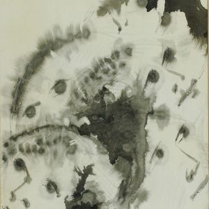 Anonimo - Volti