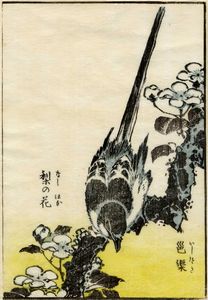 KATSUSHIKA HOKUSAI - Uccellino su ramo fiorito.