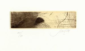 Piero Guccione - Nudo sdraiato.