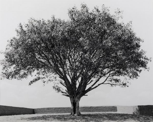 Neshat Shirin : Tooba series, 2002  - Asta Fotografia - Associazione Nazionale - Case d'Asta italiane