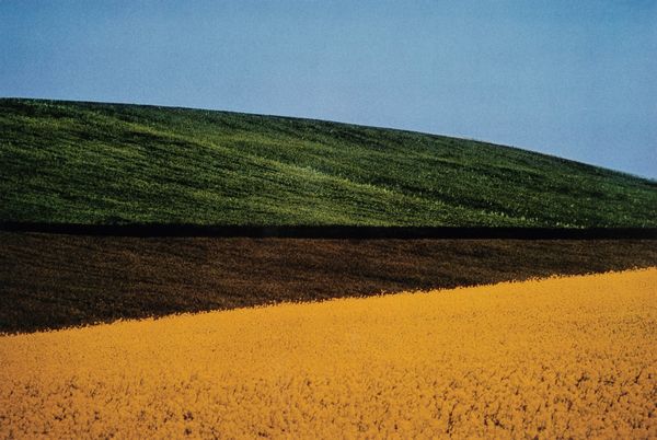 Franco Fontana : Paesaggio, Basilicata  - Asta Fotografia - Associazione Nazionale - Case d'Asta italiane