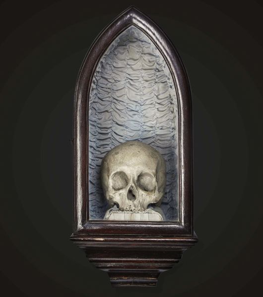 Memento mori  - Asta Mirabilia Naturalia - Associazione Nazionale - Case d'Asta italiane