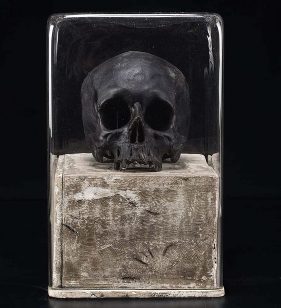 Vanitas  - Asta Mirabilia Naturalia - Associazione Nazionale - Case d'Asta italiane