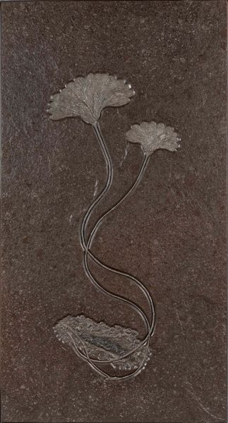 Coppia di crinoidi  - Asta Mirabilia Naturalia - Associazione Nazionale - Case d'Asta italiane