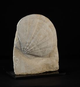 Pecten fossile  - Asta Mirabilia Naturalia - Associazione Nazionale - Case d'Asta italiane