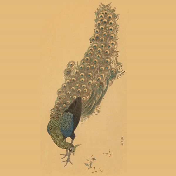 Xilografia raffigurante pavone con iscrizione, Giappone, periodo Meiji (1868-1912)  - Asta Fine Chinese Works of Art - Associazione Nazionale - Case d'Asta italiane