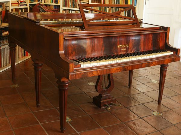 Pianoforte Pleyel a mezza coda in piuma di mogano  - Asta Curiosit siciliane e strumenti musicali da Casa D'Agata - Associazione Nazionale - Case d'Asta italiane