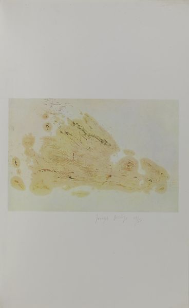 BEUYS JOSEPH (1921 - 1986) : Coniglio.  - Asta Asta 352 Arte Moderna e Contemporanea - Associazione Nazionale - Case d'Asta italiane