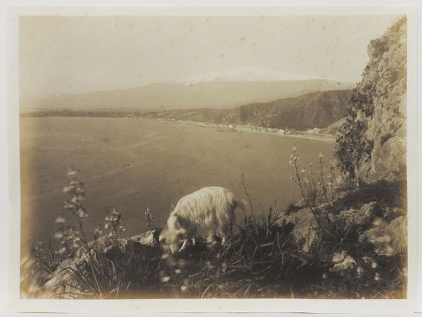 ,Giovanni Crupi : Taormina Etna e costa, 1890 circa  - Asta Immagini di Sicilia dallo Studio d'Agata ed altre collezioni - Associazione Nazionale - Case d'Asta italiane