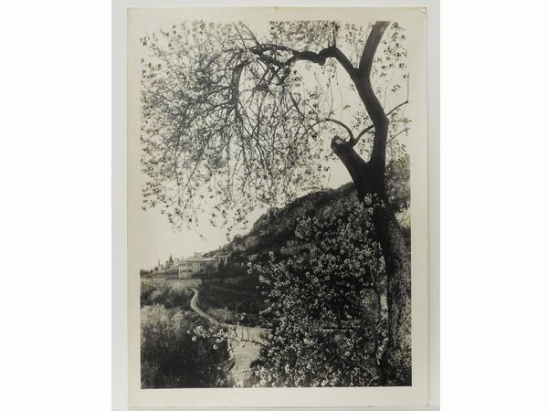 ,Gaetano D'Agata : Taormina Mandorli in fiore, 1920 circa  - Asta Immagini di Sicilia dallo Studio d'Agata ed altre collezioni - Associazione Nazionale - Case d'Asta italiane