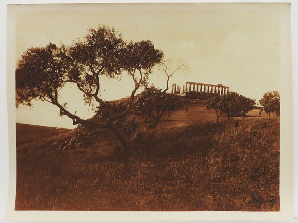 ,Gaetano D'Agata : Girgenti (Agrigento) Templi, 1920 circa  - Asta Immagini di Sicilia dallo Studio d'Agata ed altre collezioni - Associazione Nazionale - Case d'Asta italiane