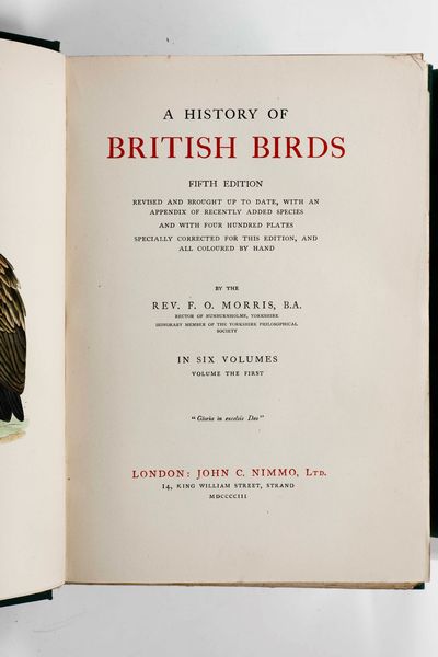 ,Francis Orpen Morris : Morris Francis Orpen The History oh the British bird. Quinta edizione. London John C. Nimmo, 1903  - Asta Libri Antichi, Stampe, Incisioni e Carte Geografiche | Cambi Time - Associazione Nazionale - Case d'Asta italiane