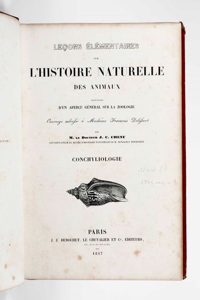 ,J. C. Chenu : Chenu J. C. L'Historie naturelle des animaux... Parigi, J.J. Dubochet, le Chevalier et C. editore, 1847  - Asta Libri Antichi, Stampe, Incisioni e Carte Geografiche | Cambi Time - Associazione Nazionale - Case d'Asta italiane