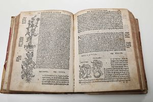 ,Gambiglioni Angelo, dello l'Aretino : Gambiglioni Angelo, dello l'Aretino Opere...In Lione, presso Giacomo Francesco di Giunta, 1523.  - Asta Libri Antichi, Stampe, Incisioni e Carte Geografiche | Cambi Time - Associazione Nazionale - Case d'Asta italiane