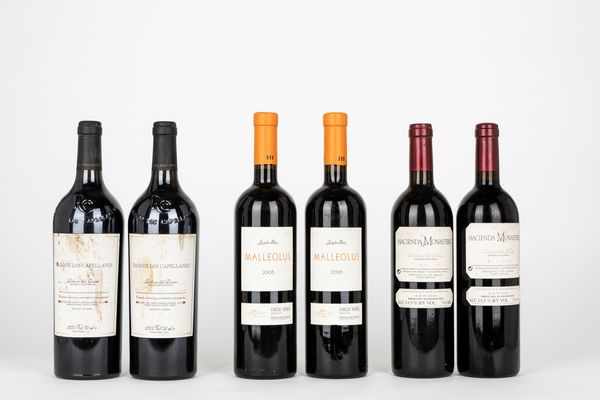 ,Spagna : Selezione Ribera del Duero  - Asta Vini e Distillati - Associazione Nazionale - Case d'Asta italiane