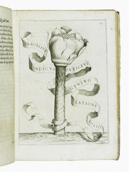 GIOVANNI BATTISTA FERRARI : Flora overo cultura di fiori [...] distinta in quattro libri e trasportata dalla lingua latina all'italiana da Lodovico Aureli...  - Asta Libri, autografi e manoscritti - Associazione Nazionale - Case d'Asta italiane