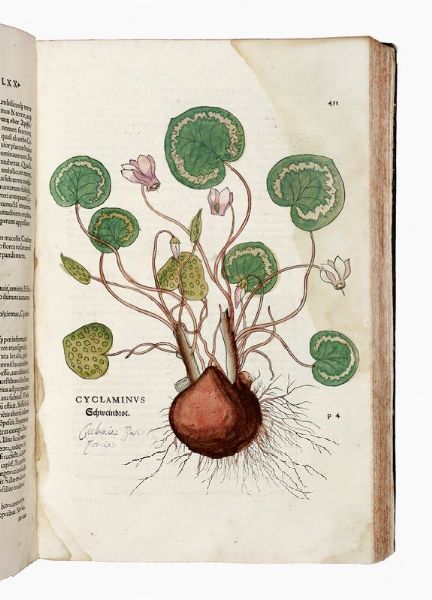 LEONHART FUCHS : De historia stirpium commentarii insignes, maximis impensis et vigiliis elaborati...  - Asta Libri, autografi e manoscritti - Associazione Nazionale - Case d'Asta italiane