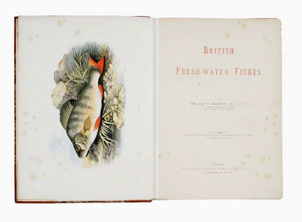 WILLIAM HOUGHTON : British fresh-water fishes [...] illustrated with a coloured figure of each species drawn from nature...  - Asta Libri, autografi e manoscritti - Associazione Nazionale - Case d'Asta italiane