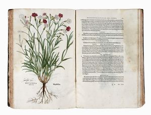 LEONHART FUCHS : De historia stirpium commentarii insignes, maximis impensis et vigiliis elaborati...  - Asta Libri, autografi e manoscritti - Associazione Nazionale - Case d'Asta italiane