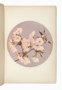 KAZUMASA OGAWA : Some Japanese flowers.  - Asta Libri, autografi e manoscritti - Associazione Nazionale - Case d'Asta italiane