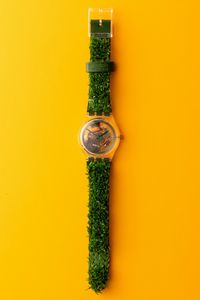 Swatch GARDEN TURF SKZ103 1997  - Asta Swatch History | Cambi Time - Associazione Nazionale - Case d'Asta italiane