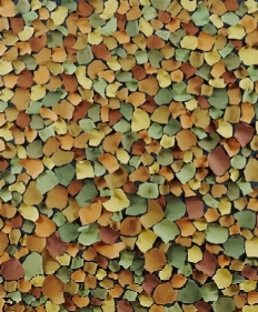 Arte Moderna e Contemporanea