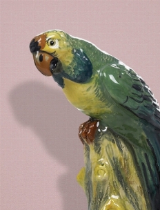 Maioliche e Porcellane