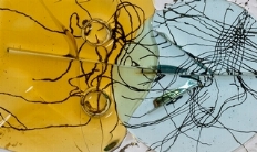 I Bianconi di Bianconi