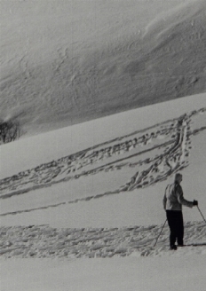 Fotografia / Christmas Early Gifts