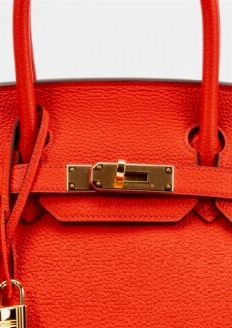 Luxury Fashion: Fashion Icons