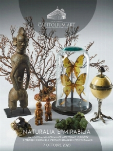 ASTA 302 - NATURALIA E MIRABILIA