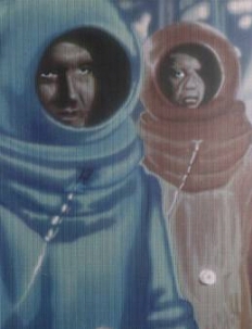 La Collezione Borroni