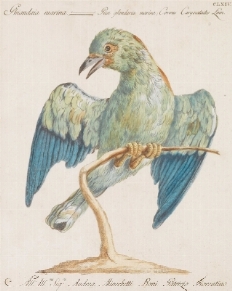 ASTA A TEMPO | DISEGNI E STAMPE DAL XVI AL XIX SECOLO