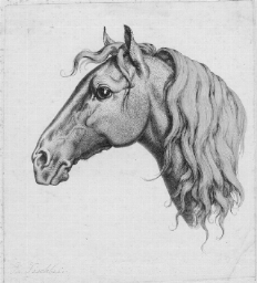 Stampe e disegni antichi e del secolo XIX | Asta a tempo 